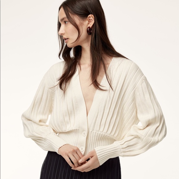 Aritzia Sweaters - Aritzia Wilfred Plunge Front Cardigan